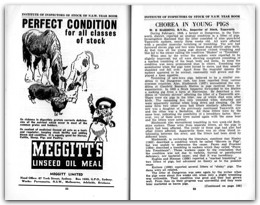 1951 Page 088 089